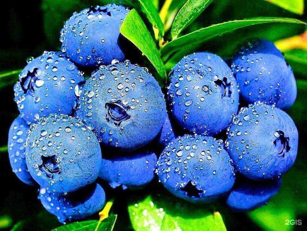 Отзывы на компанию Садко в Нижнем Новгороде c фото