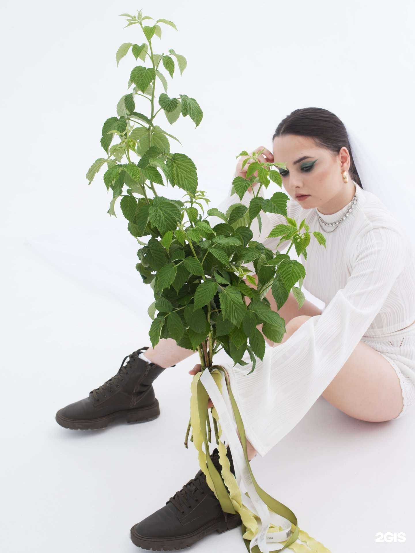 Отзывы на компанию Sunflora в Краснодаре c фото