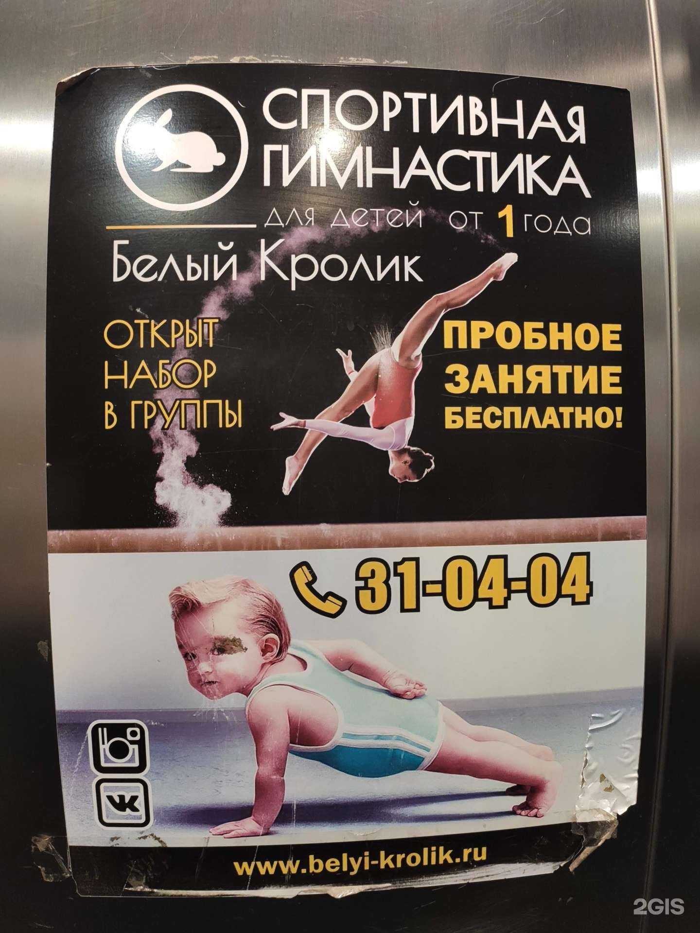 Отзывы на компанию Белый кролик в г. Курск c фото