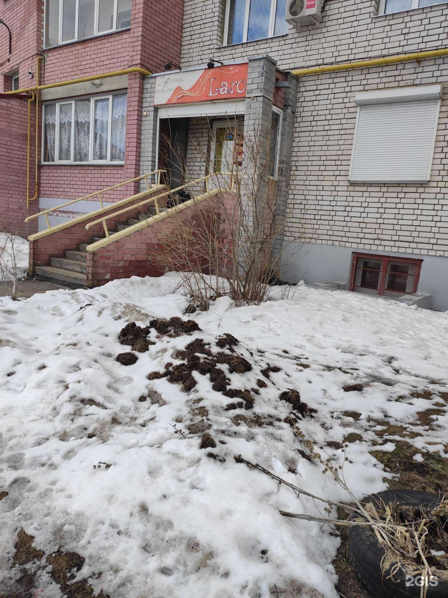 Отзывы на компанию Laro в г. Кстово c фото