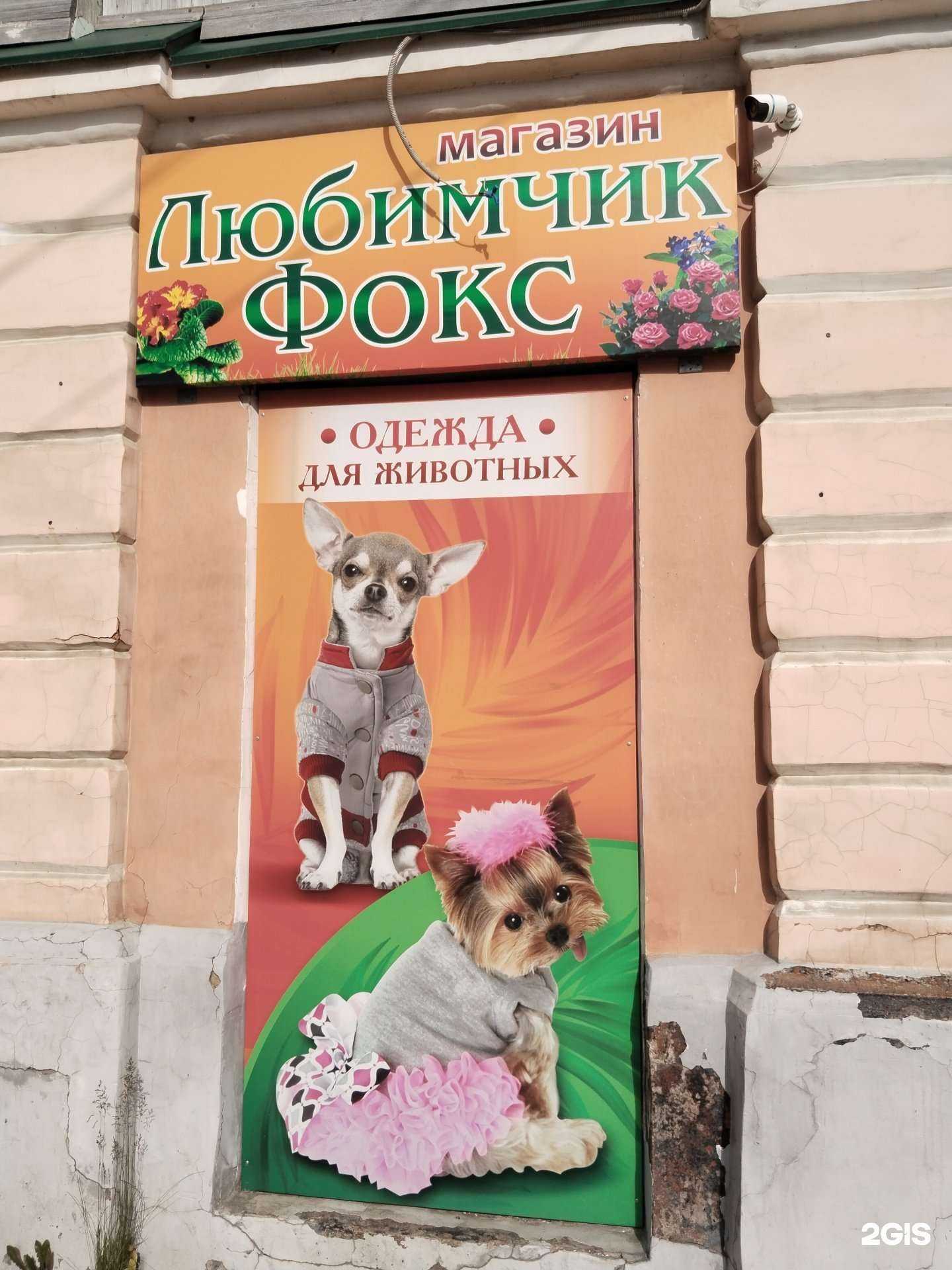 Отзывы на компанию Любимчик в г. Елец c фото