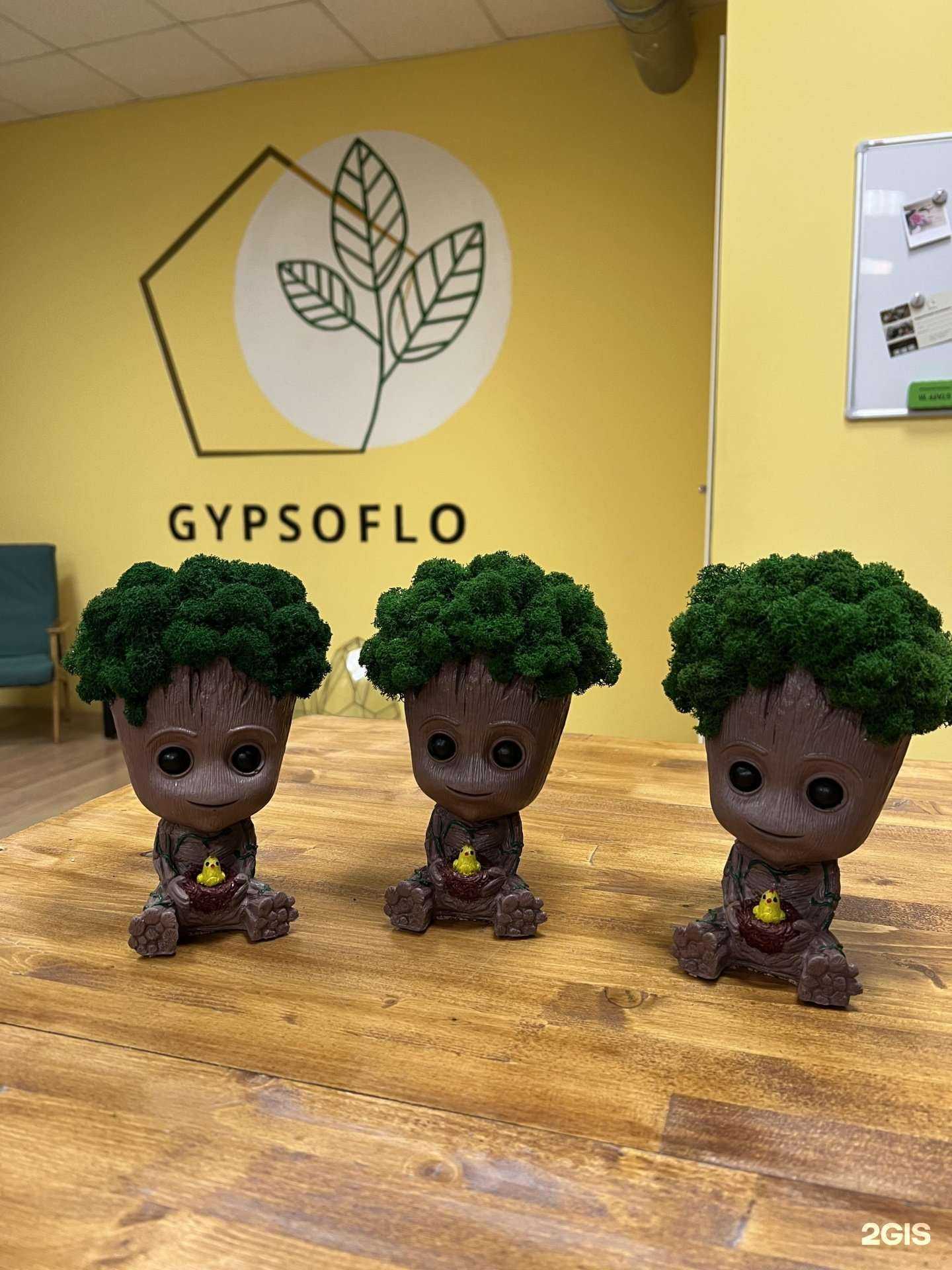 Отзывы на компанию Gypsoflо в Уфе c фото