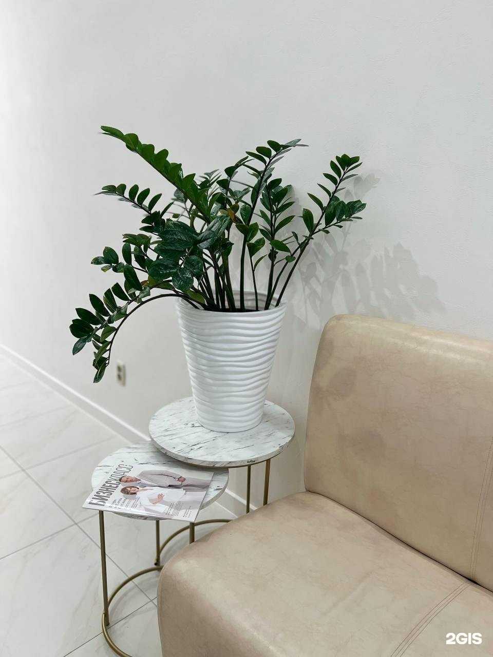 Отзывы на компанию ASdent в Кирове c фото