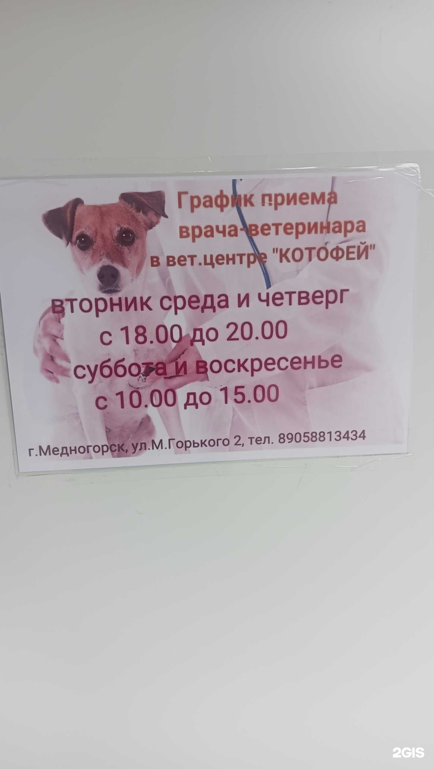 Отзывы на компанию Котофей в Медногорске c фото