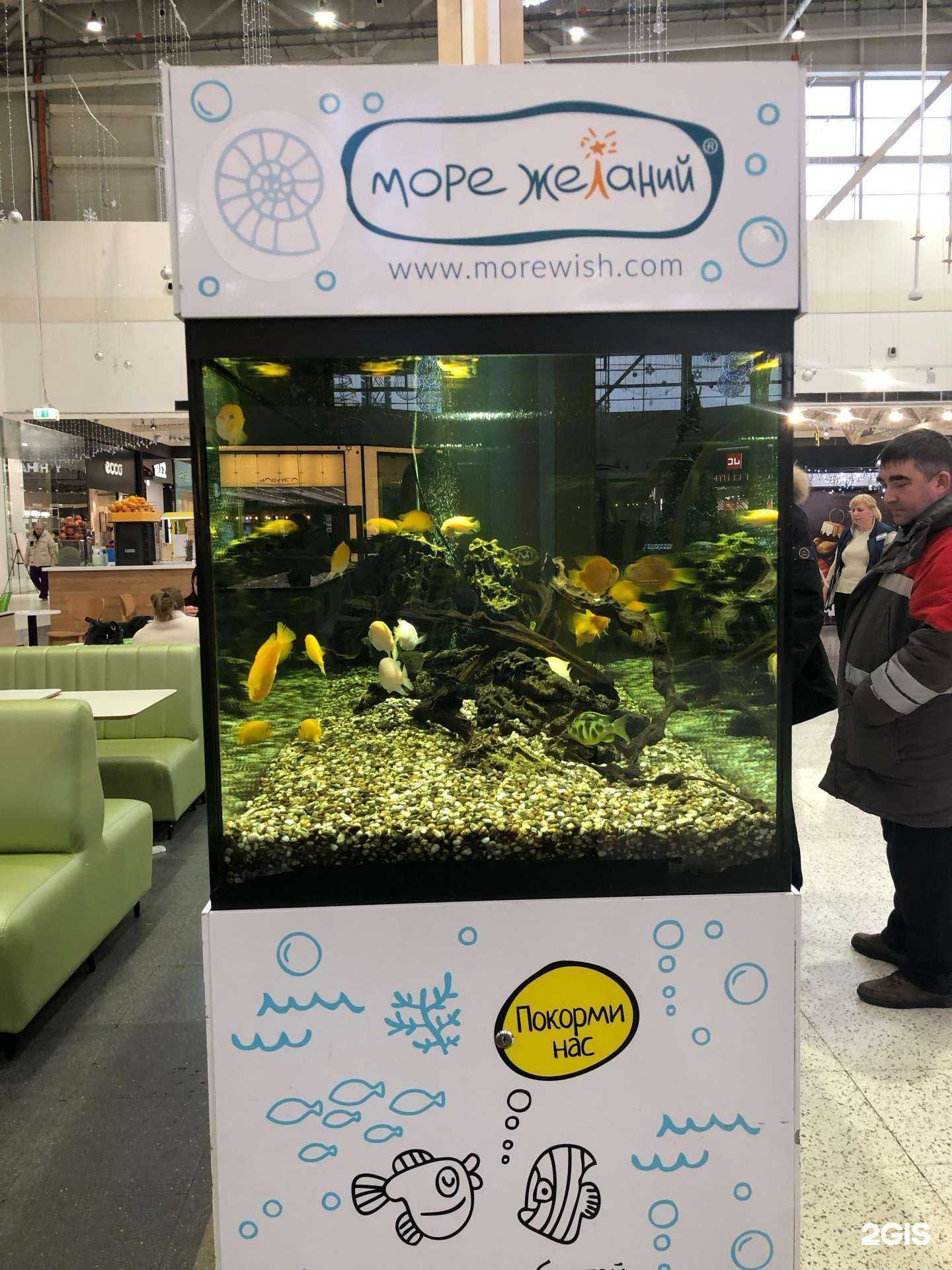 Отзывы на компанию Море желаний в г. Самара c фото