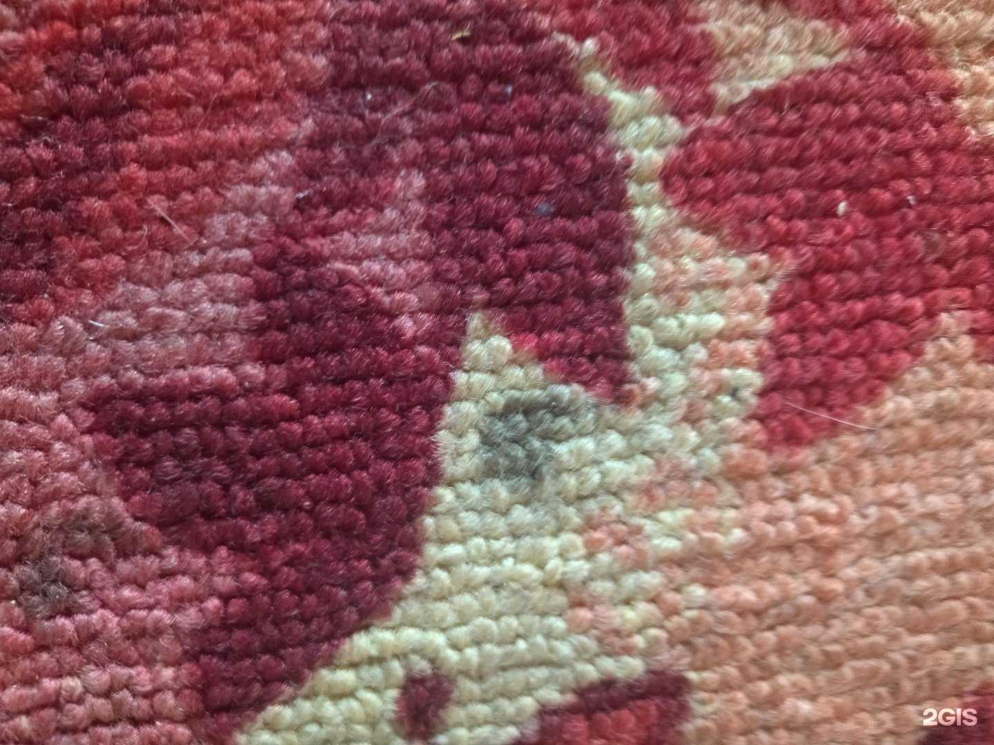 Отзывы на компанию Енот в г. Ангарск c фото