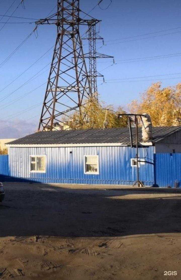 Отзывы на компанию Мини Лапки в Якутске c фото - фотография 2 из 2