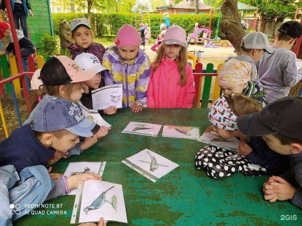 Отзывы на компанию Лесная сказка в Рязани c фото