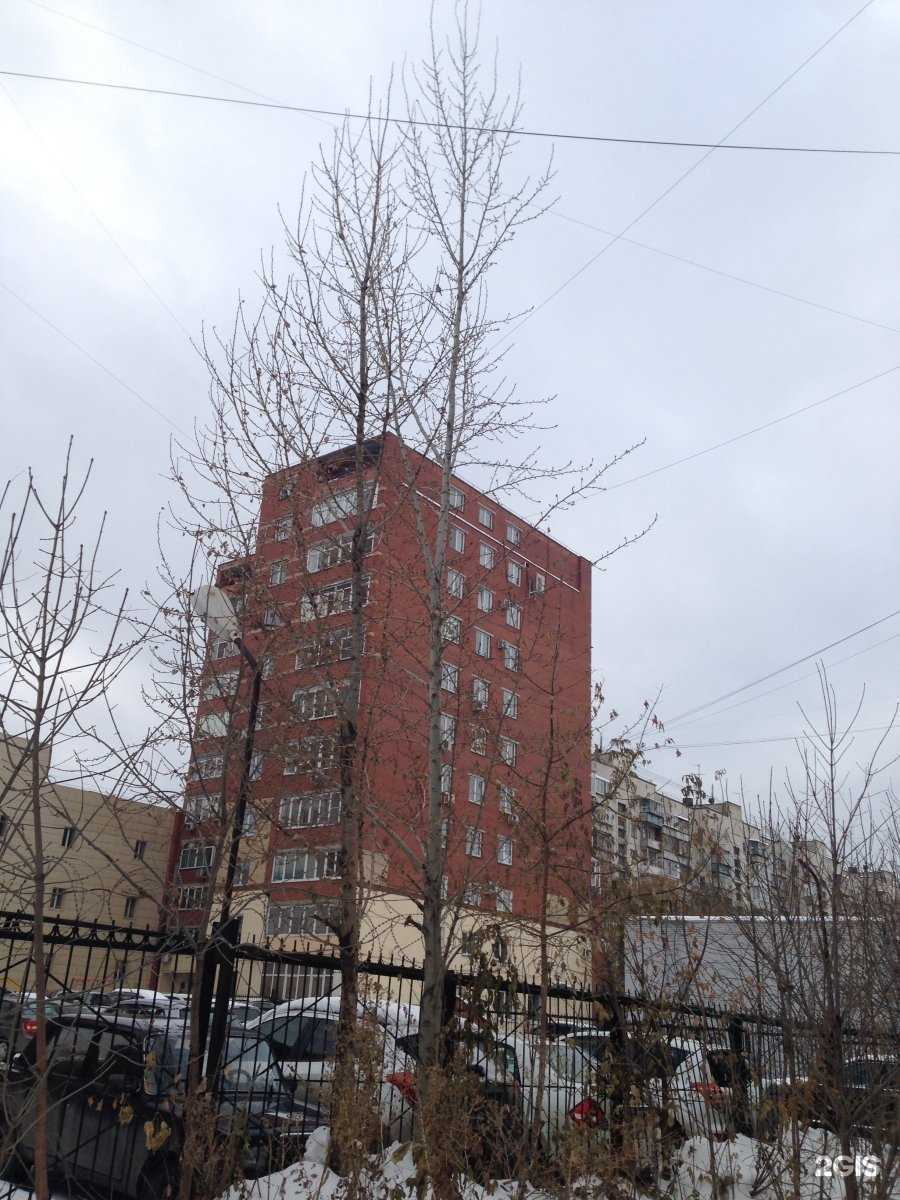 Отзывы на компанию Оптивет в Челябинске c фото - фотография 2 из 2