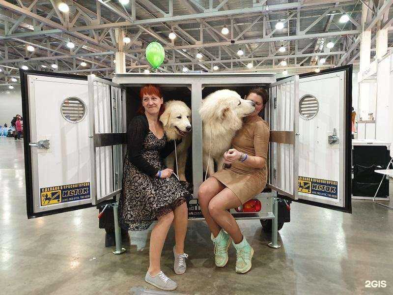 Отзывы на компанию Исток в Красногорске c фото