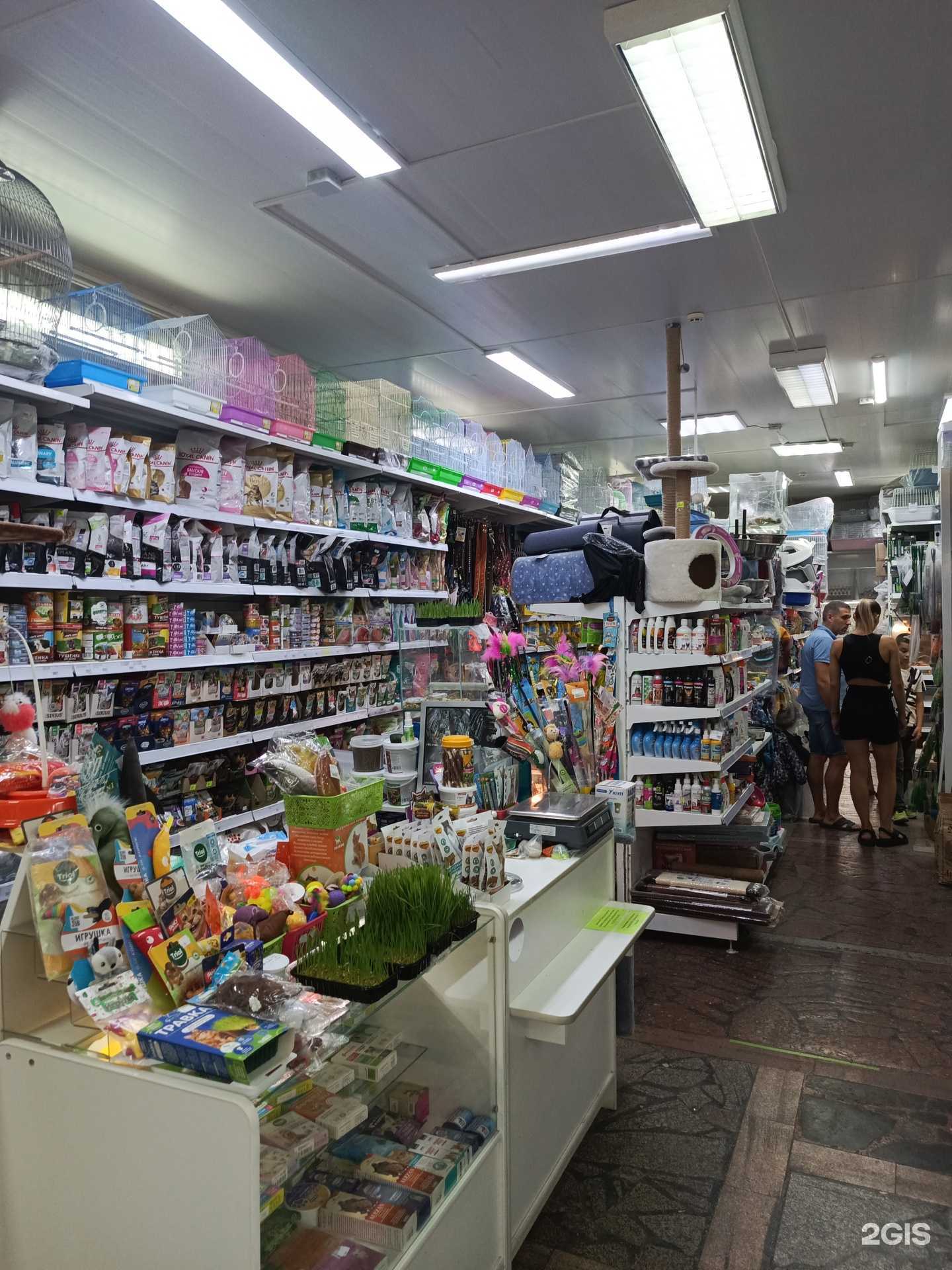 Отзывы на компанию Питомец в Ставрополе c фото