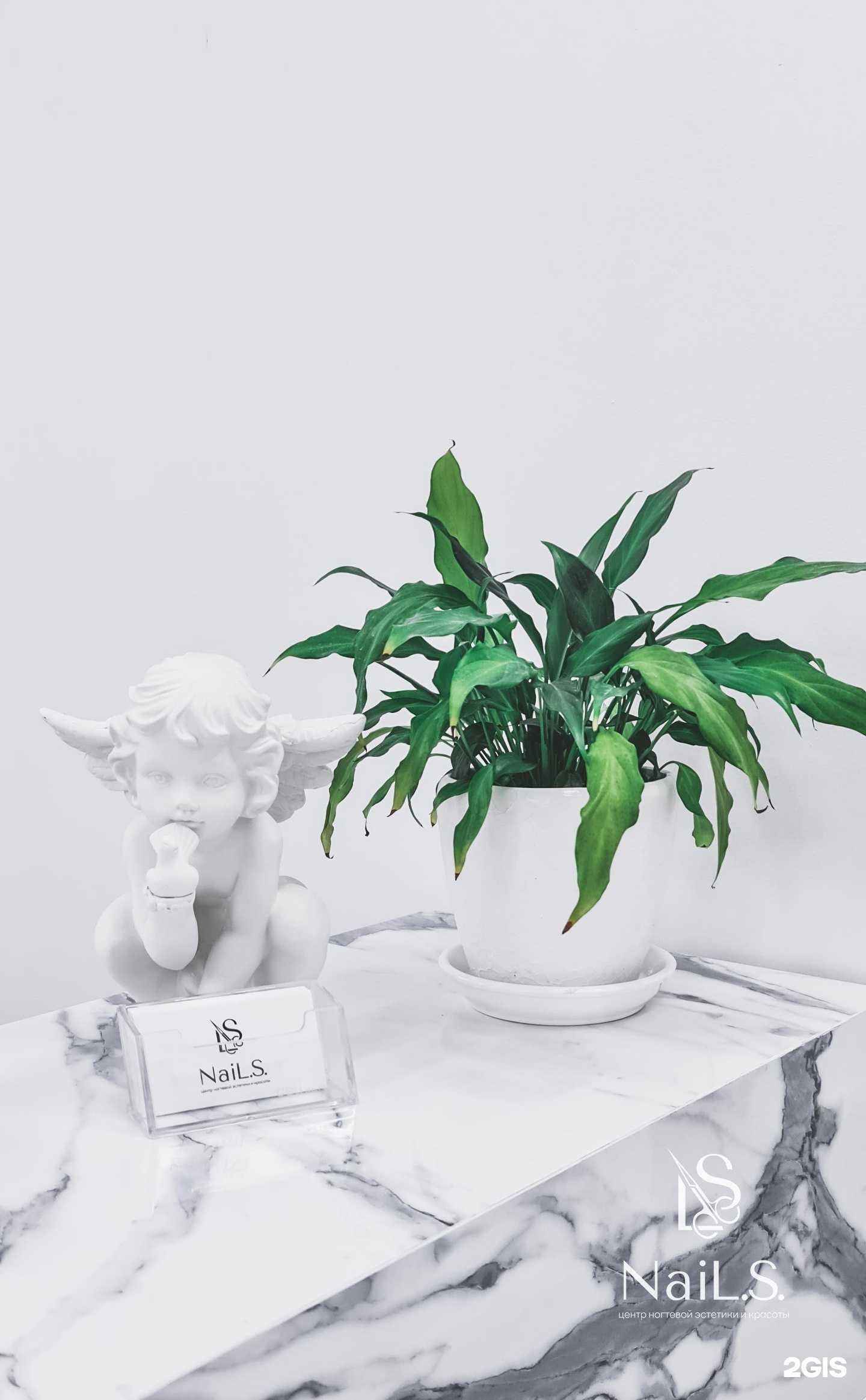 Отзывы на компанию NaiL.S. в Елизове c фото