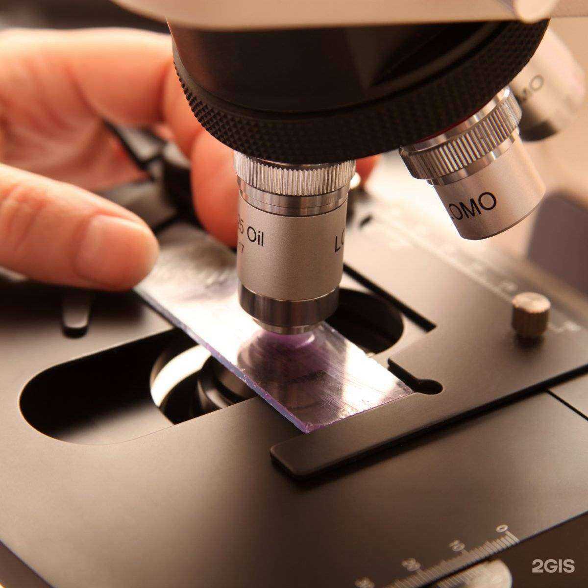 Отзывы на компанию Клиника медицинских экспертиз в г. Владимир c фото