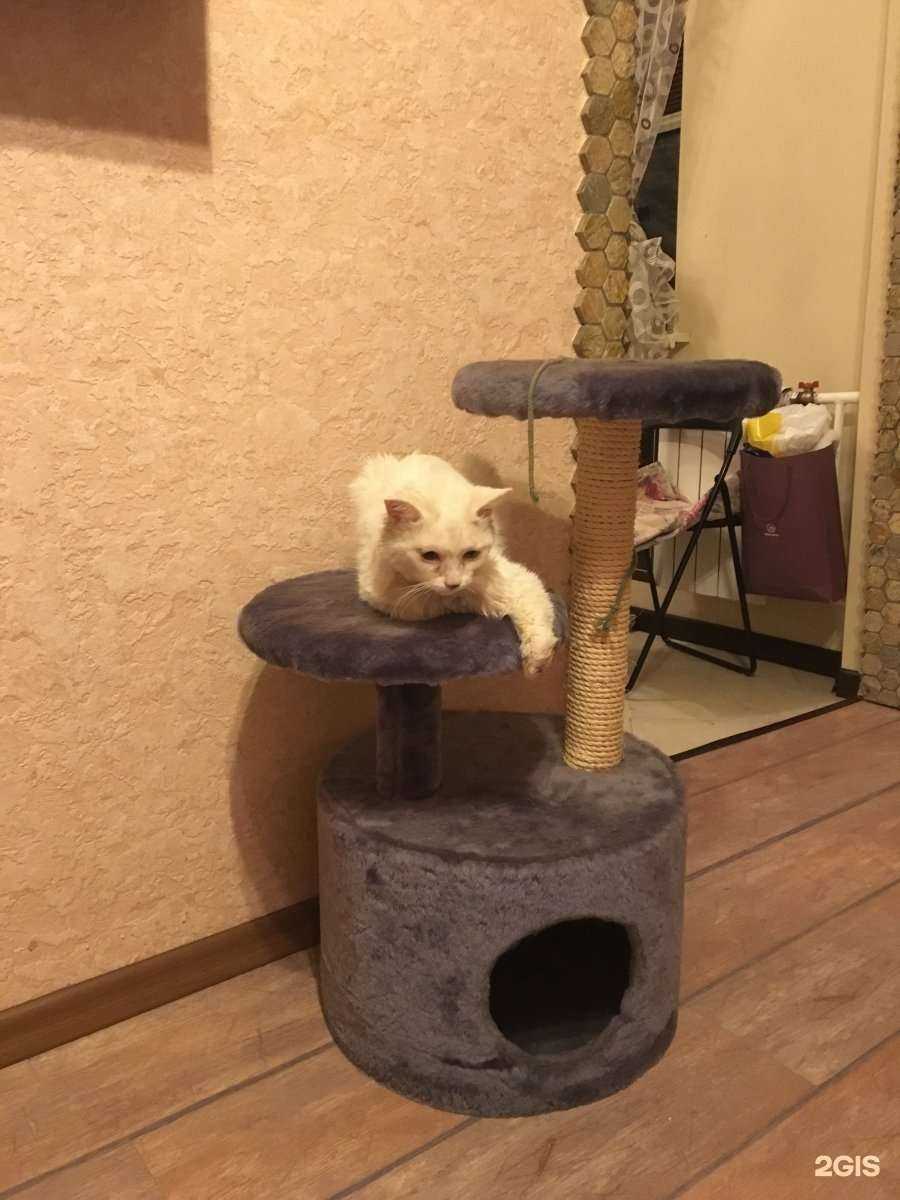 Отзывы на компанию Надежда72 в Тюмени c фото - фотография 2 из 2