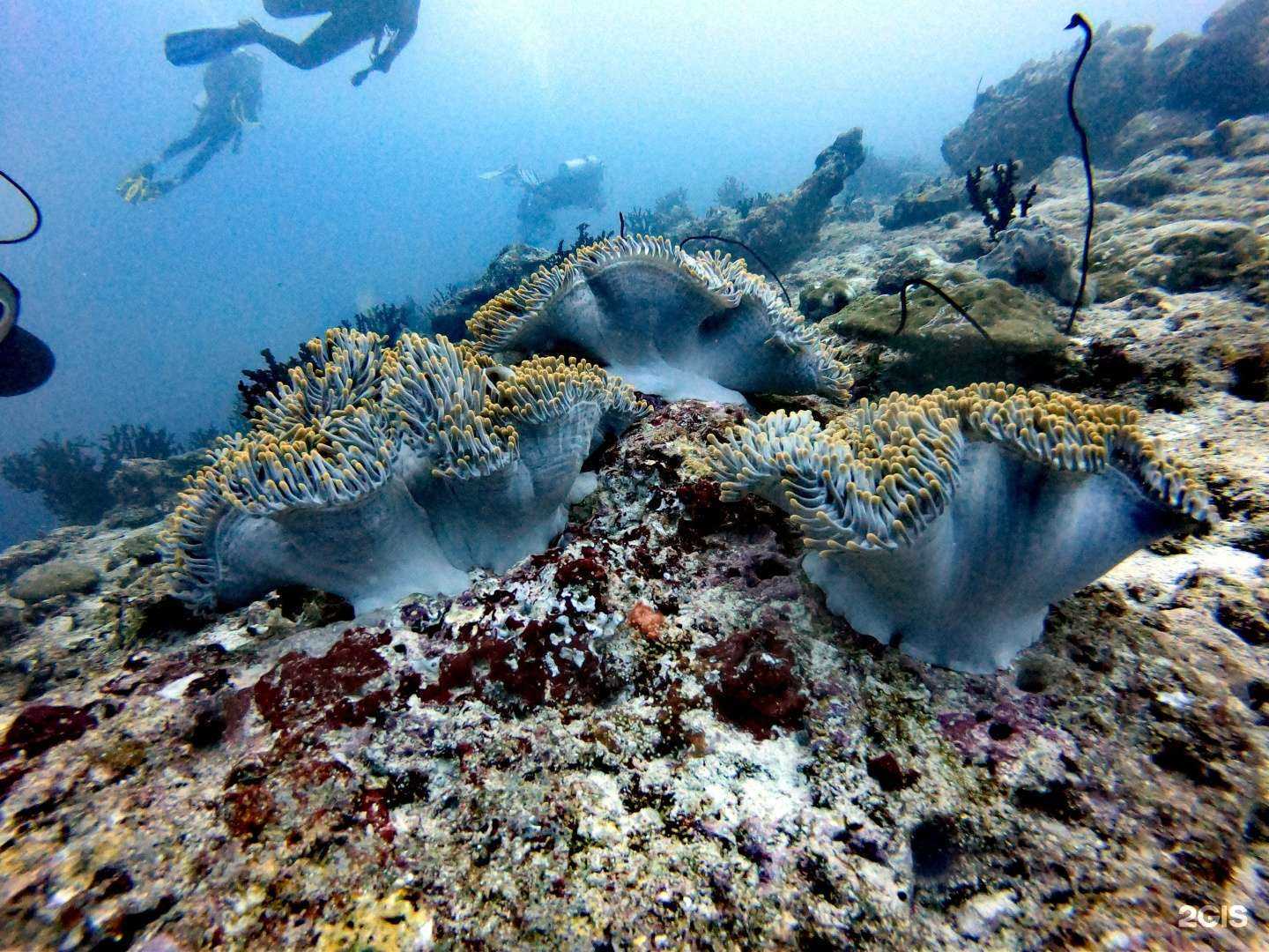 Отзывы на компанию 4 океана в г. Нижний Тагил c фото