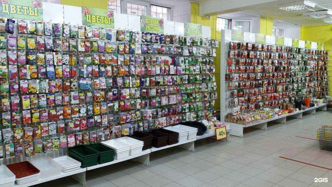 Отзывы на компанию Семена Успеха в Новосибирске c фото