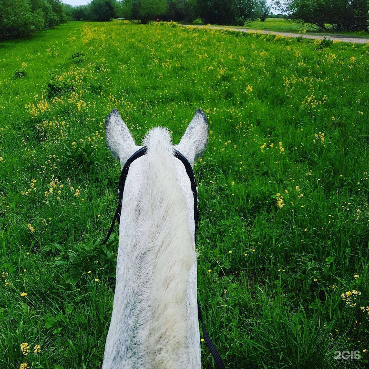 Отзывы на компанию Лансада в г. Архангельск c фото