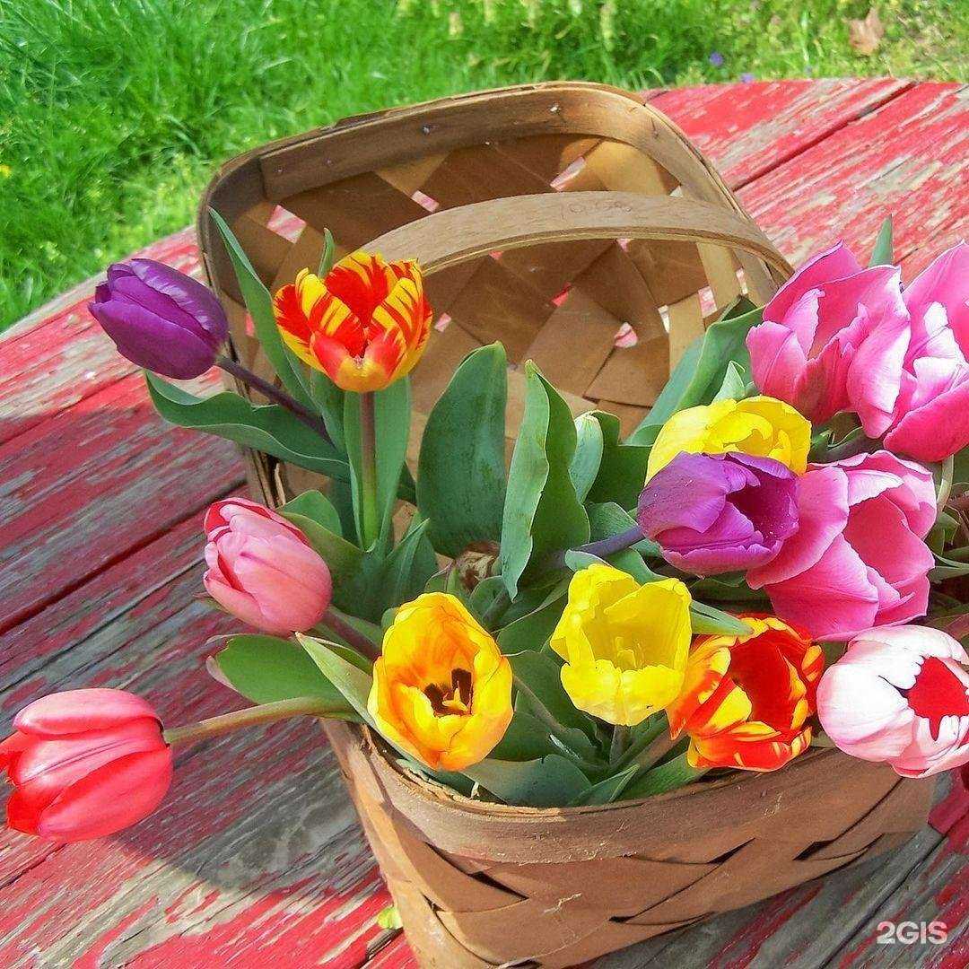 Отзывы на компанию Хлопок в Тольятти c фото