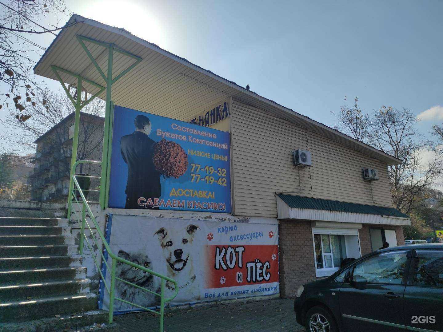 Отзывы на компанию Кот и пёс в Находке c фото - фотография 2 из 2