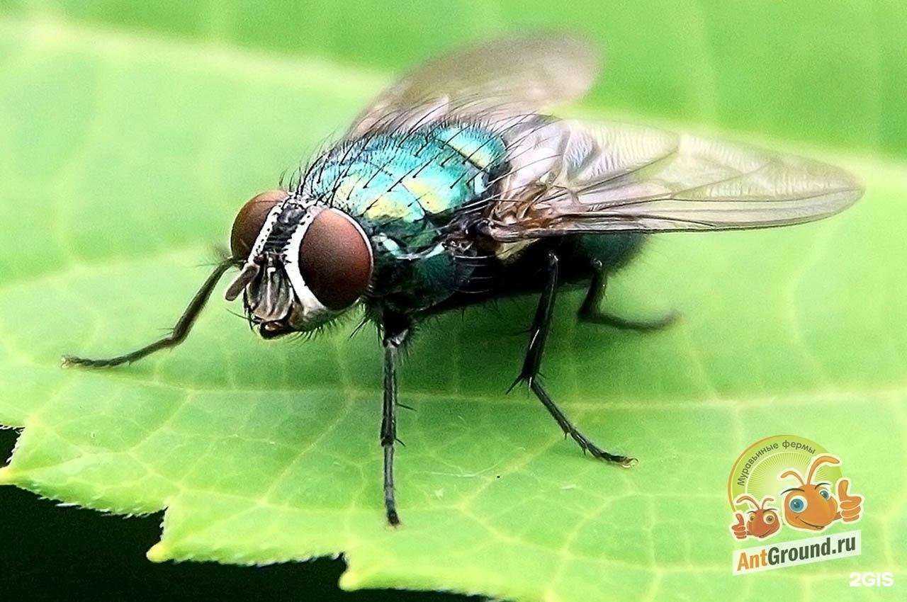 Отзывы на компанию AntGround в Перми c фото