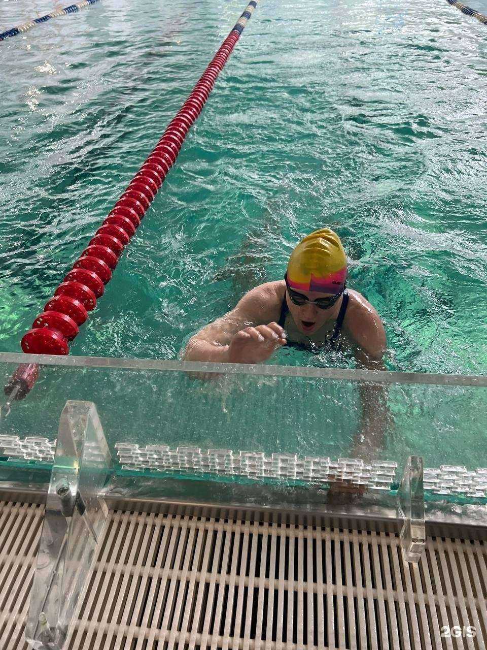 Отзывы на компанию Дельфин в г. Ногинск c фото