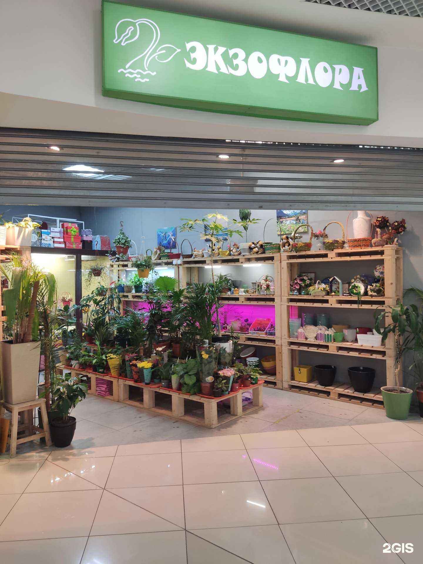 Отзывы на компанию Экзофлора в Лыткарине c фото