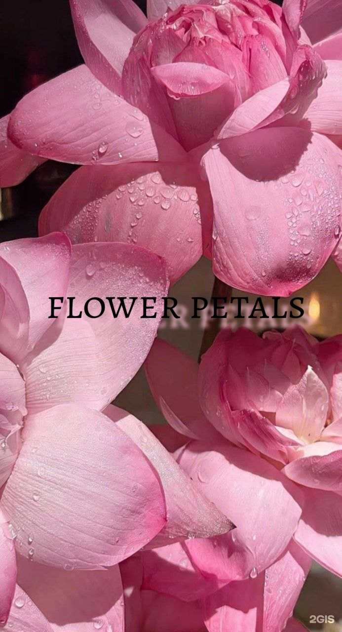 Отзывы на компанию Flower Petals в Сочи c фото
