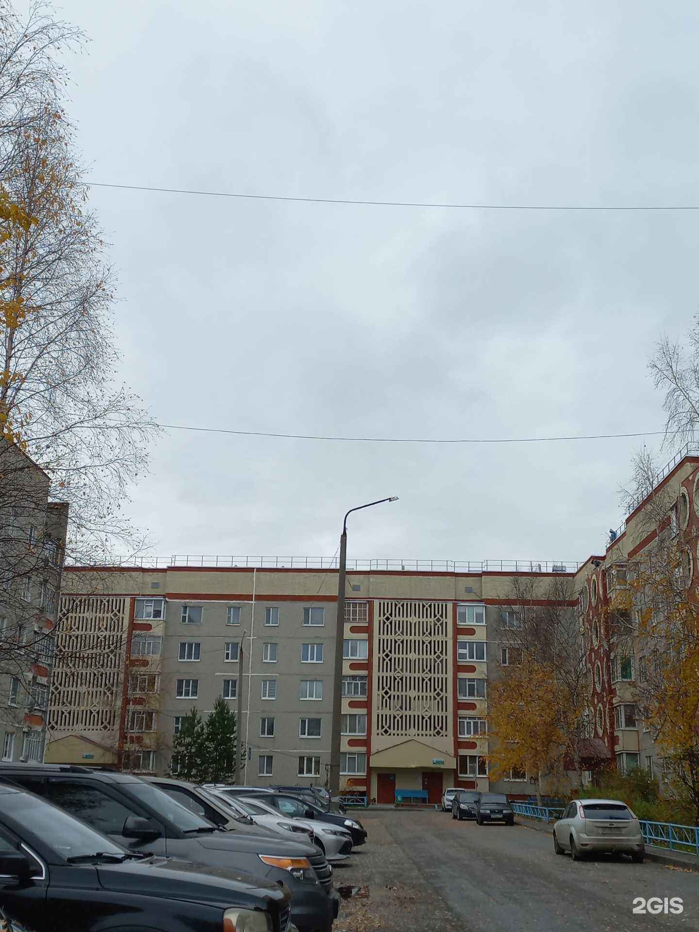 Отзывы на компанию Brovolog в Лангепасе c фото - фотография 2 из 2