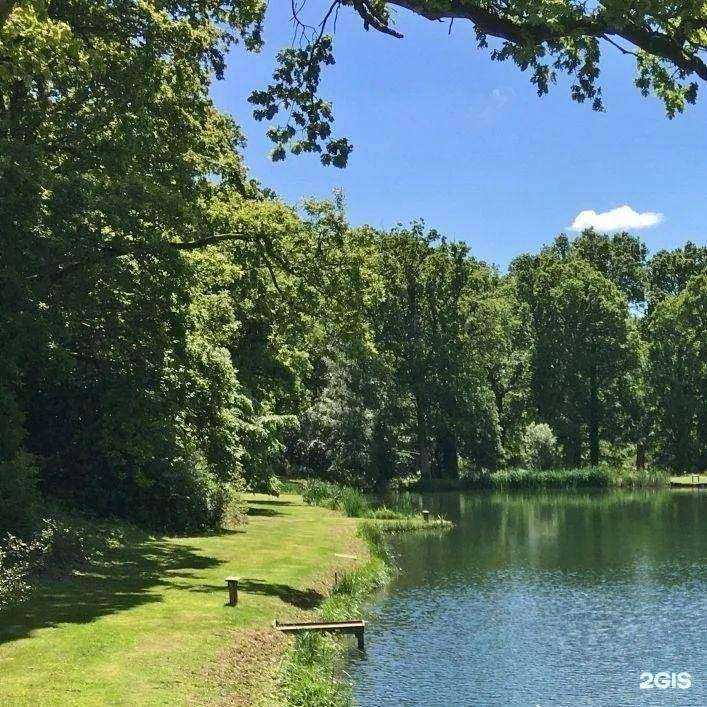 Отзывы на компанию Резольвента в Вологде c фото