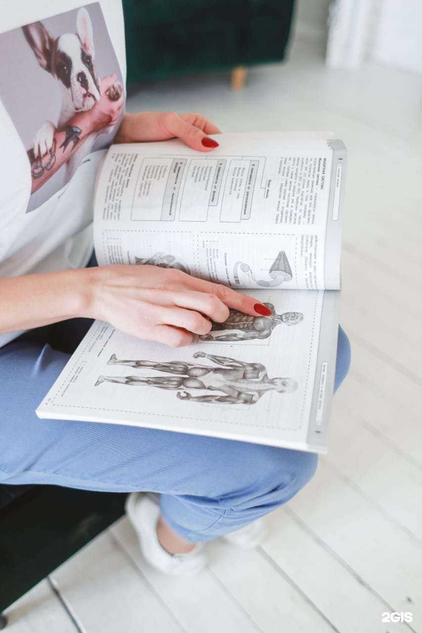 Отзывы на компанию Кот ученый в Астрахани c фото