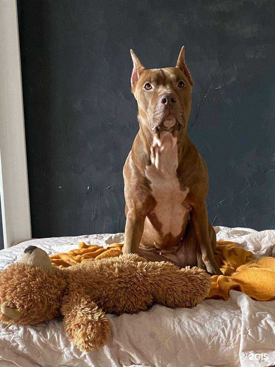 Отзывы на компанию Черлик Оран в г. Красноярск c фото