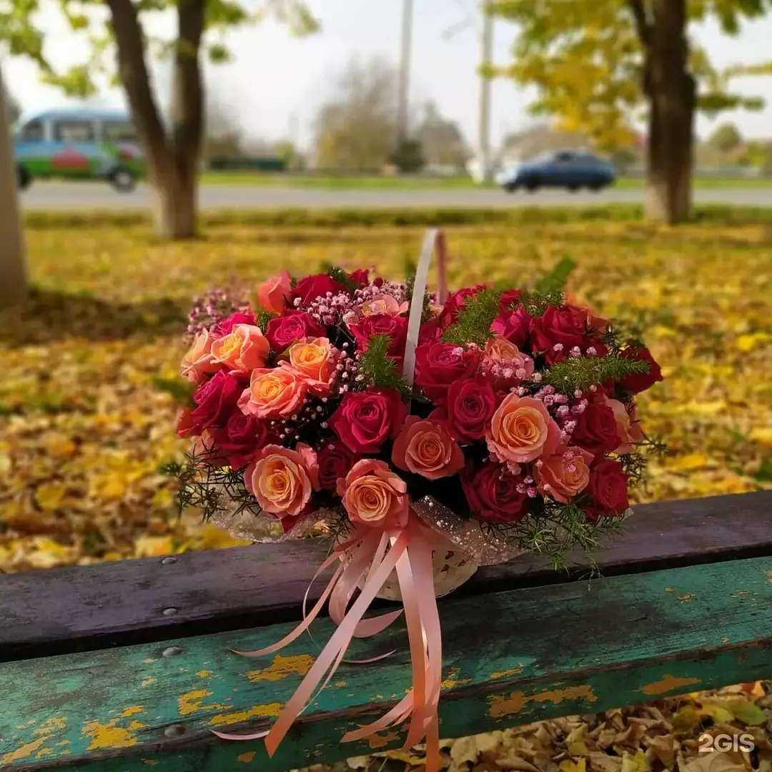 Отзывы на компанию Лепесток в Майкопе c фото