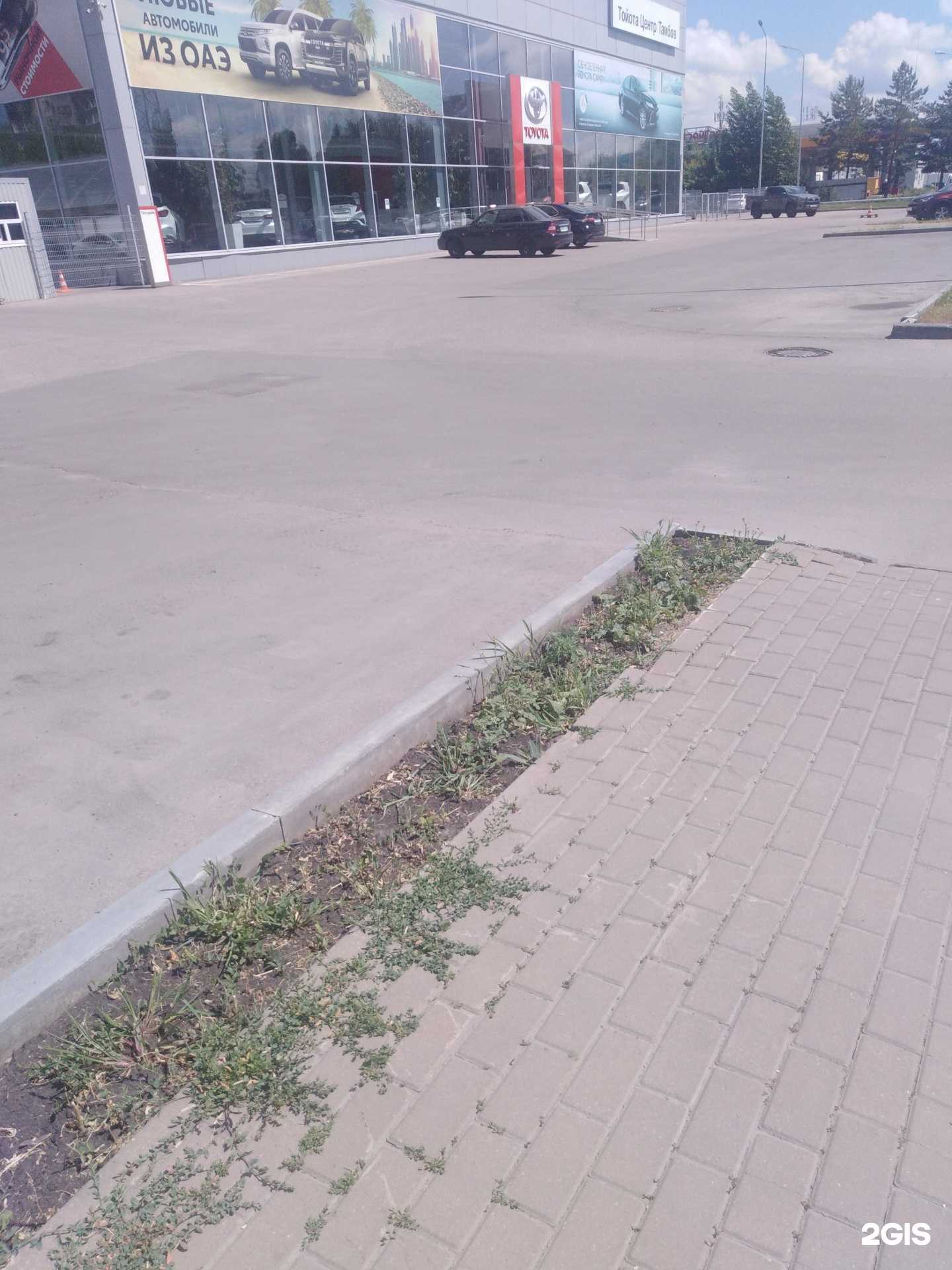 Отзывы на компанию JAC Motors Тамбов в Тамбове c фото - фотография 2 из 2