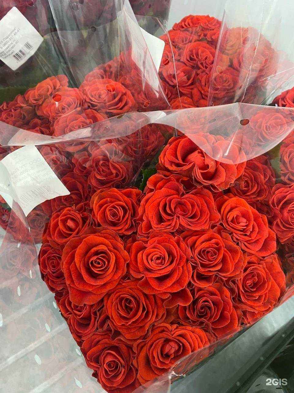 Отзывы на компанию Роза Казани в г. Казань c фото