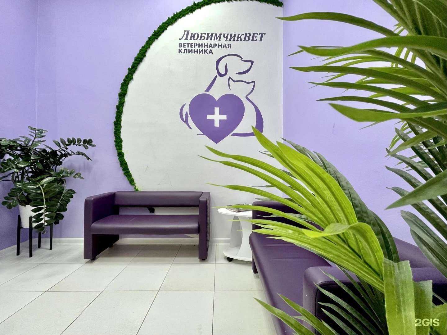 Отзывы на компанию ЛюбимчикВет в Калуге c фото