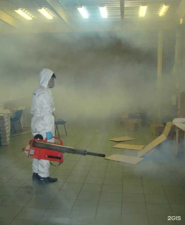 Отзывы на компанию Экодезинфектор в Омске c фото