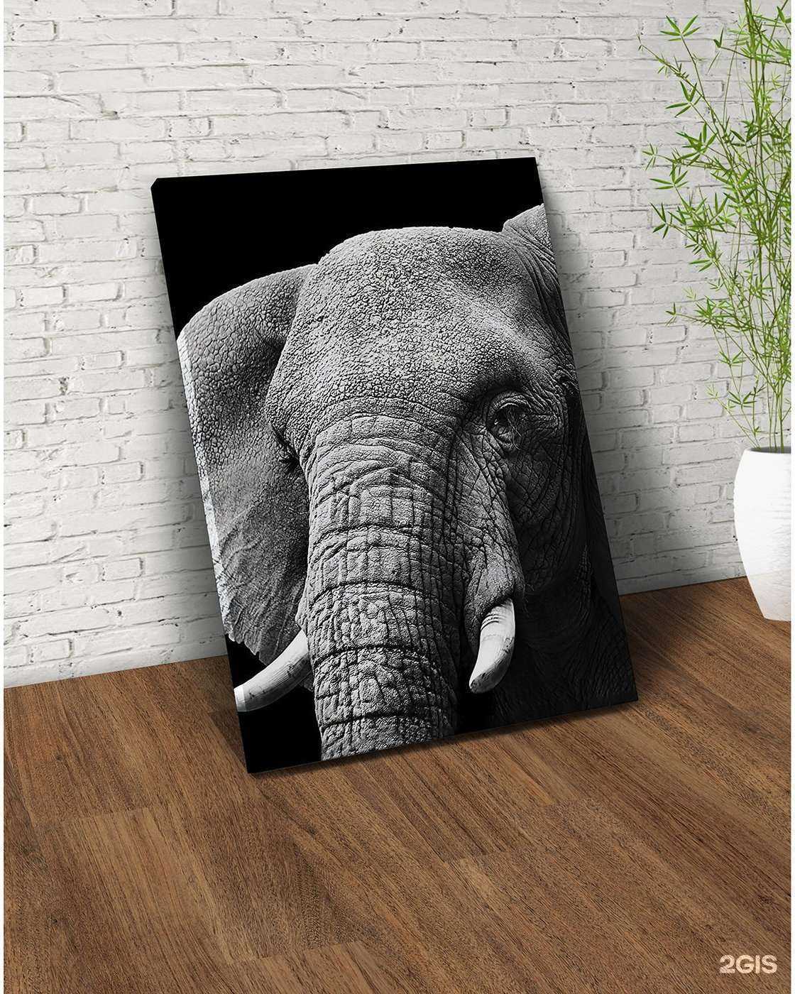 Отзывы на компанию Сова в Балашихе c фото