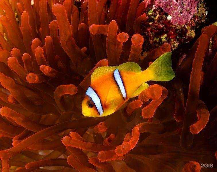 Отзывы на компанию Дом стекла в Туле c фото