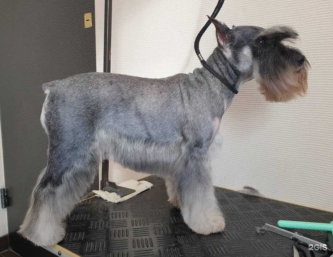 Отзывы на компанию Малина в Малоярославеце c фото