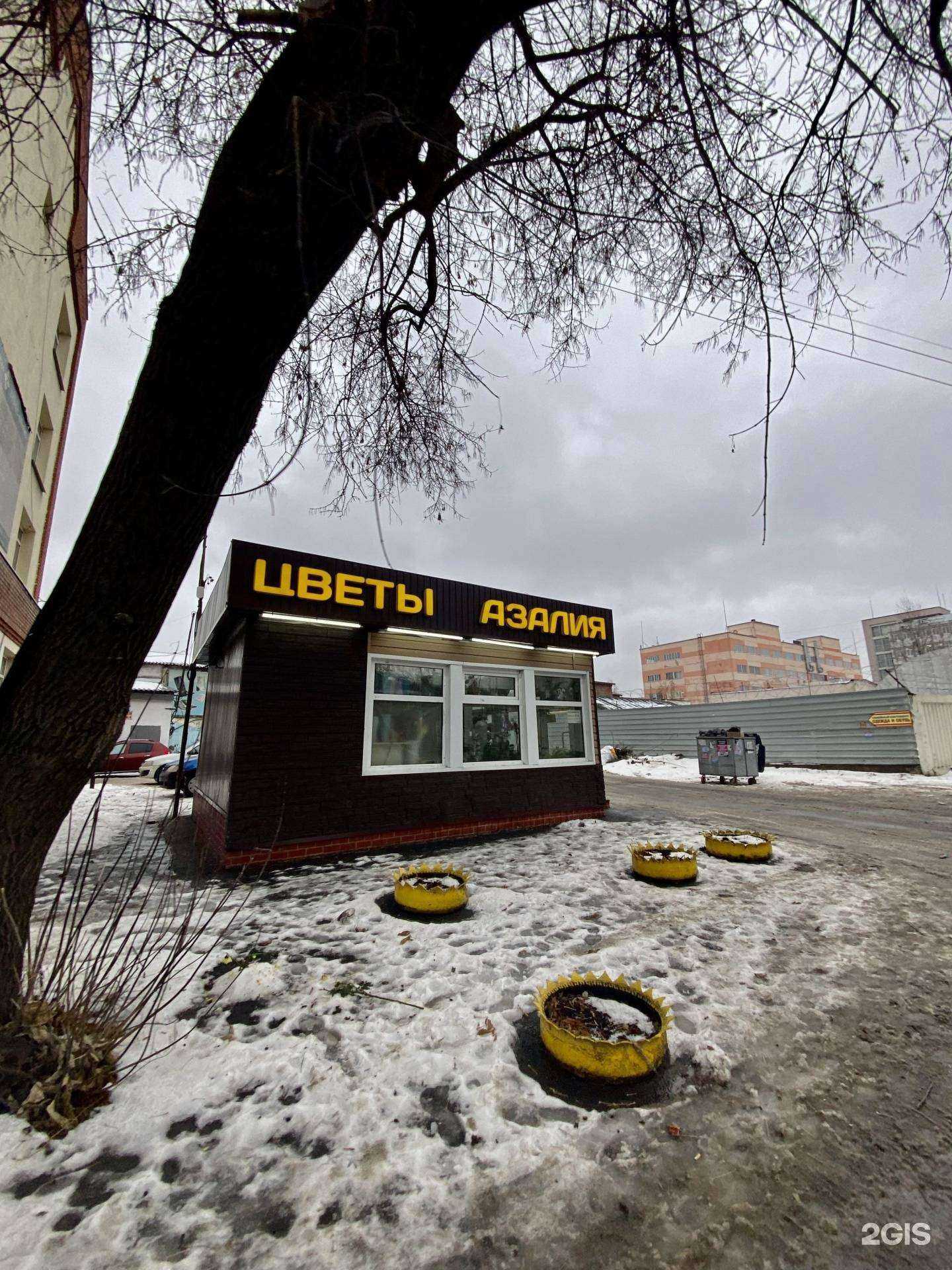 Отзывы на компанию Азалия в Томске c фото