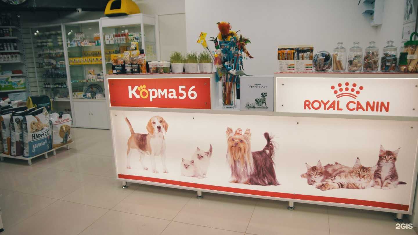 Отзывы на компанию Корма56 в Оренбурге c фото