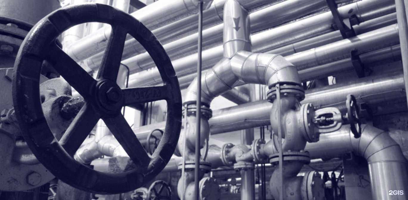 Отзывы на компанию Фенек в Калининграде c фото