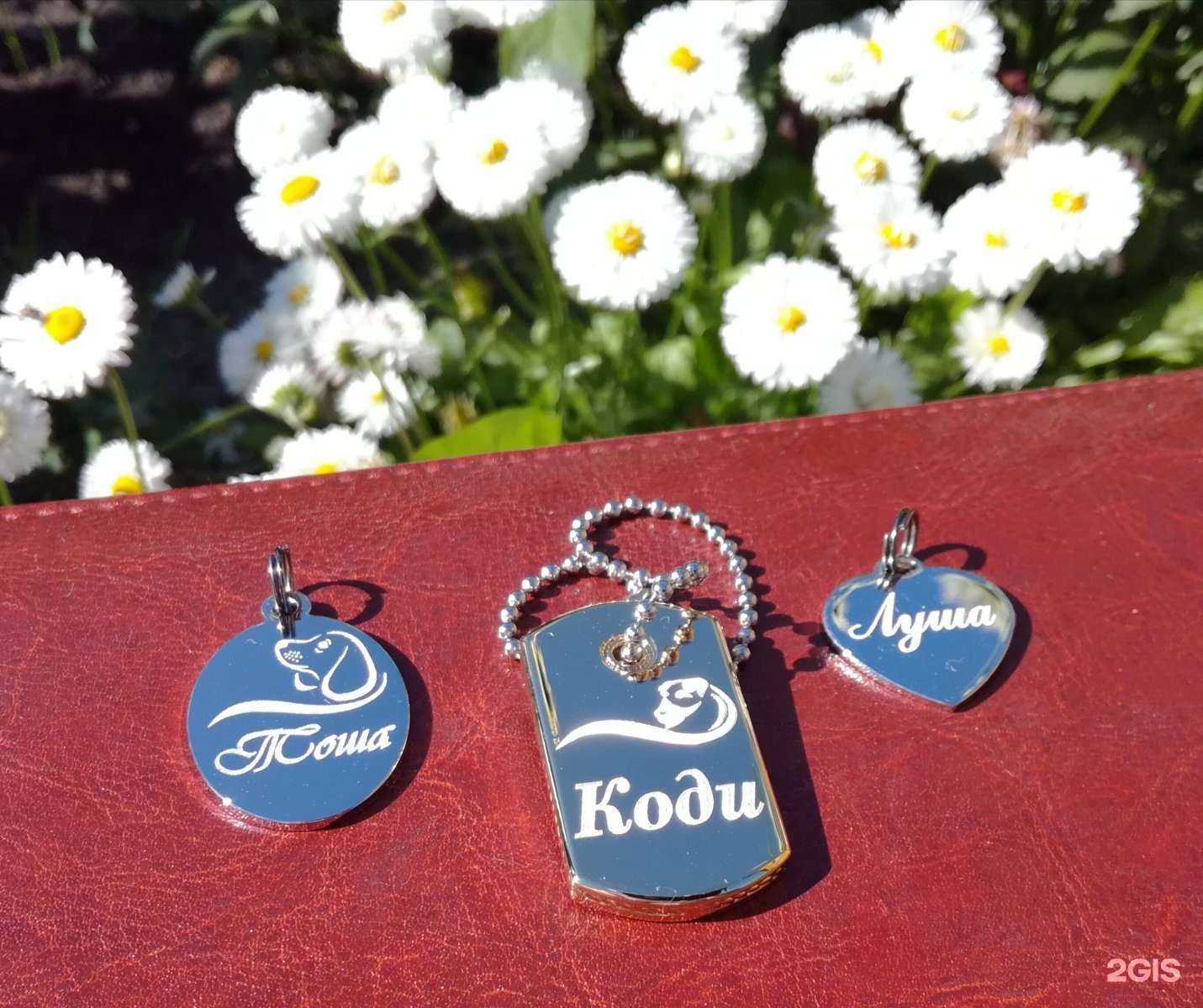 Отзывы на компанию Сытый кот в Новосибирске c фото