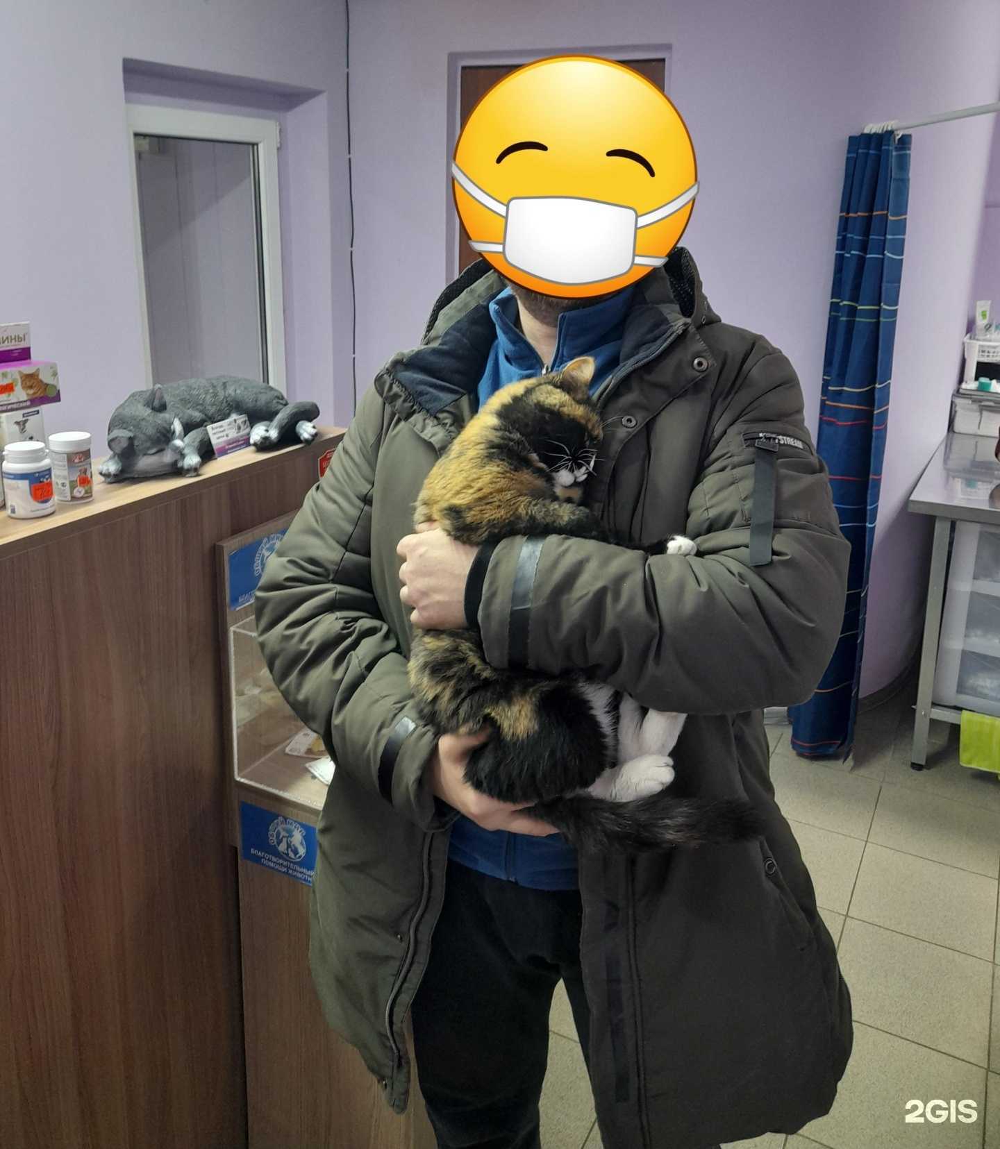 Отзывы на компанию Мистер Дворик в Омске c фото