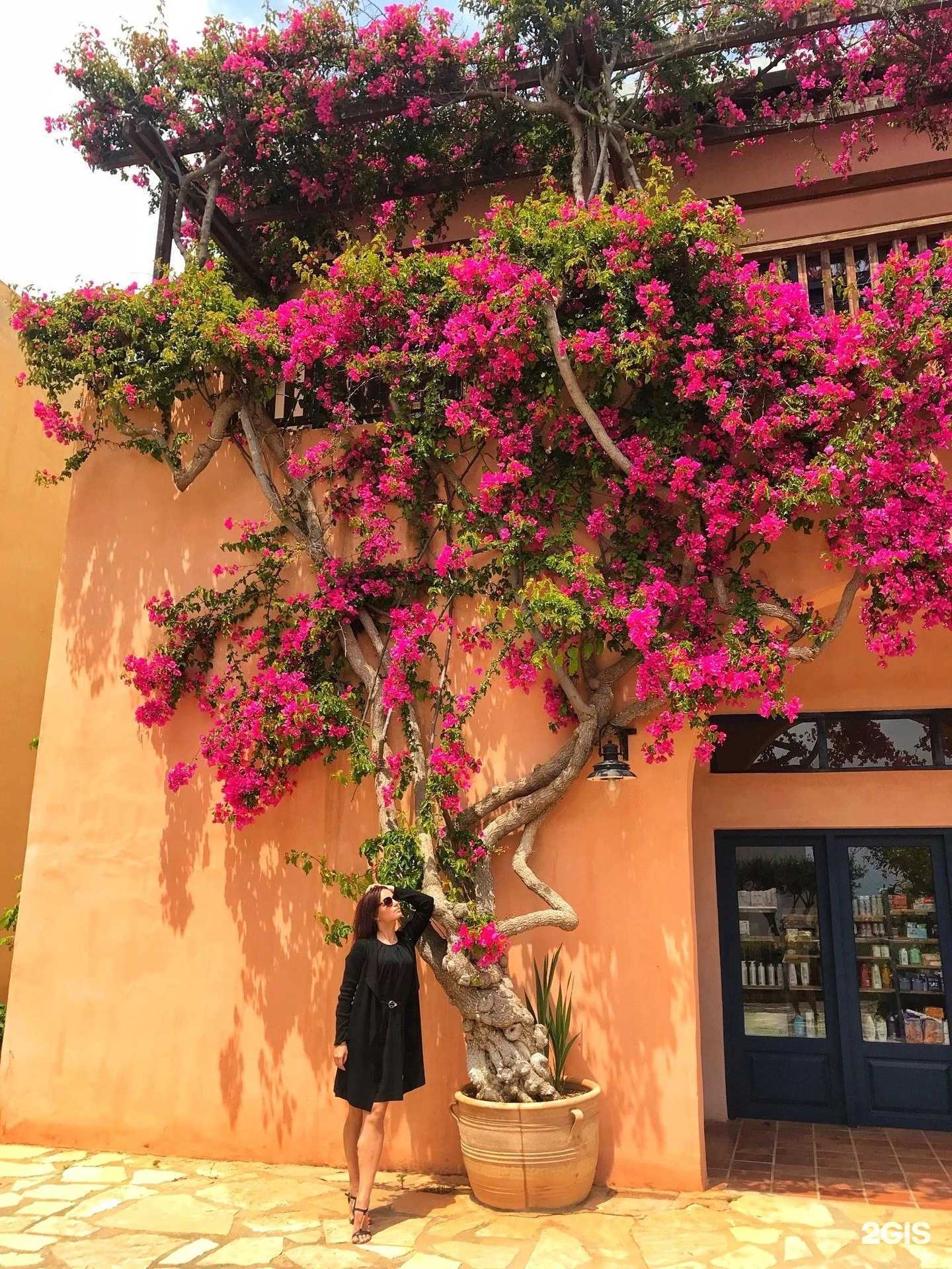 Отзывы на компанию Infinity в Петрозаводске c фото