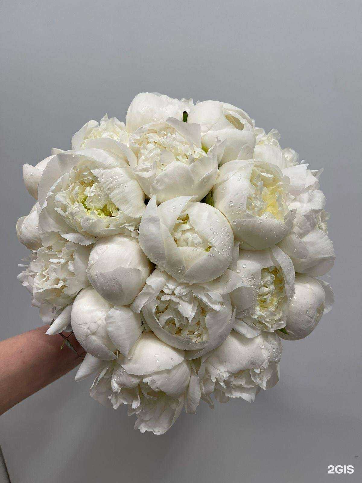 Отзывы на компанию Дом Лилии в Красногорске c фото