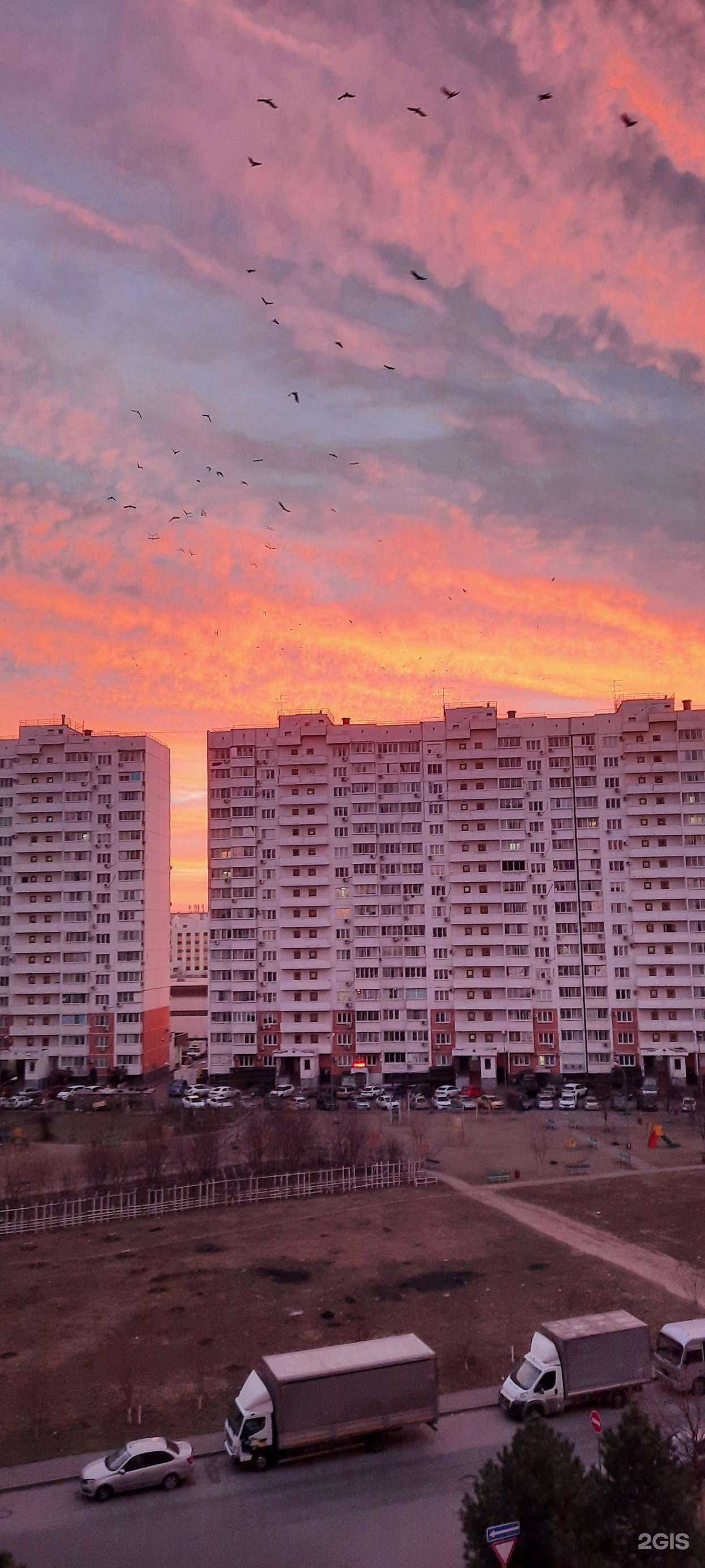 Отзывы на компанию Золотая рыбка в Краснодаре c фото - фотография 2 из 2