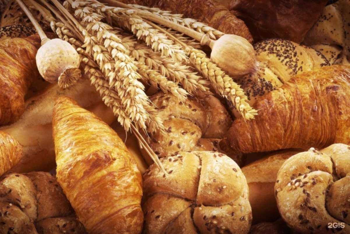 Отзывы на компанию Булочная №1 в г. Калуга c фото