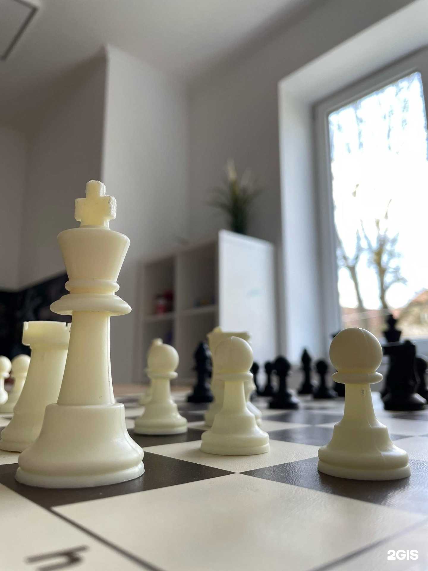 Отзывы на компанию ProSchool в Калининграде c фото