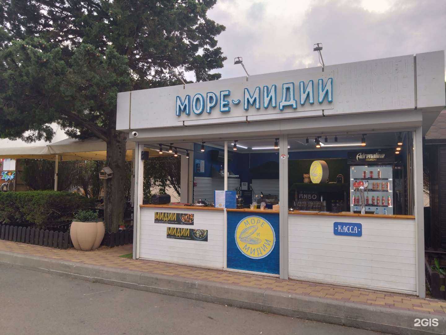Отзывы на компанию Море и мидии в г. Сочи c фото